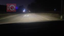 تويوتا بريوس